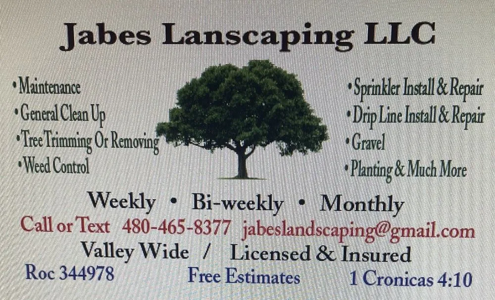 Custom garden landscaping for homes in Phoenix, AZ by Jabes Landscaping