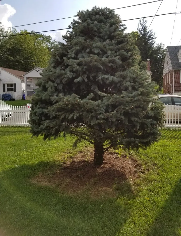 Top-rated landscape design experts serving Reading, PA - Jablonski Landscaping & Maintenance