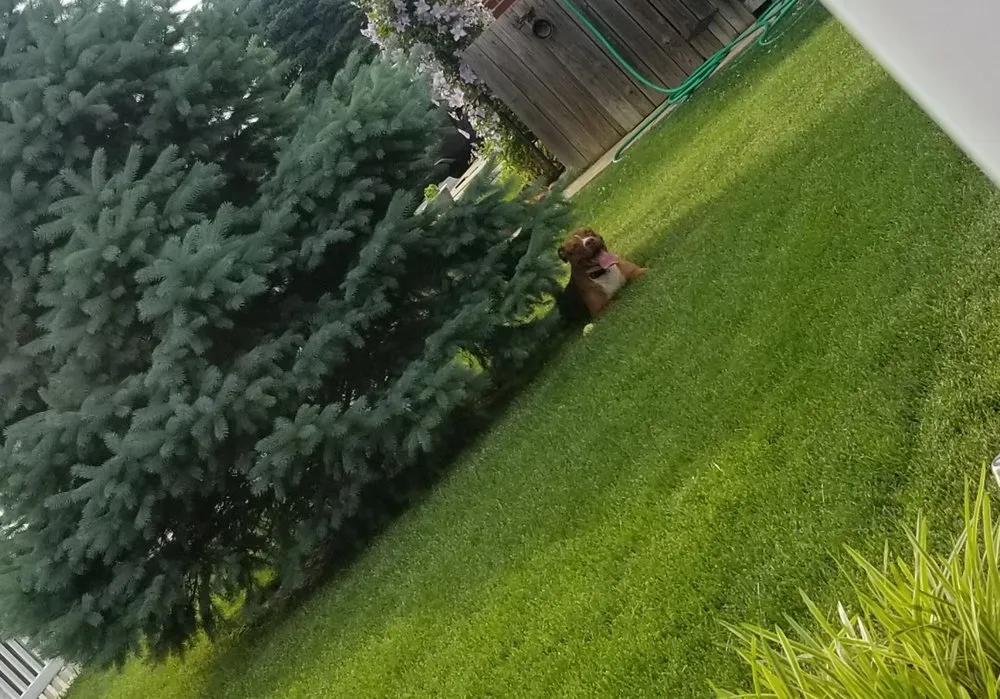 Expert outdoor landscaping experts serving Reading, PA - Jablonski Landscaping & Maintenance