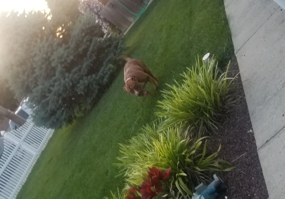 Affordable landscaping services experts serving Reading, PA - Jablonski Landscaping & Maintenance