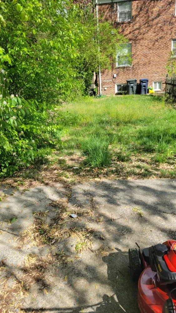 Local landscape installation for beautiful yards in Arlington, VA by Jabocleaning