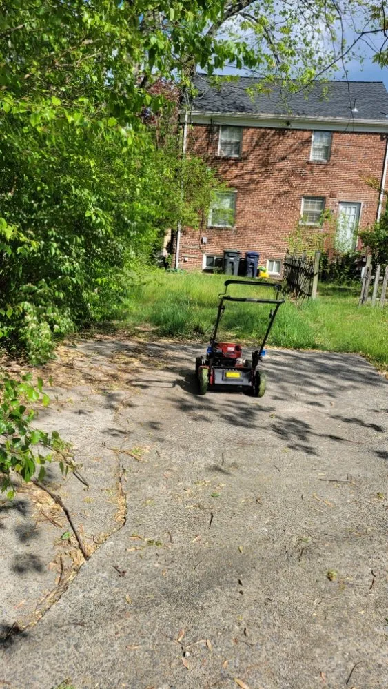 Local garden landscaping in Arlington, VA by Jabocleaning