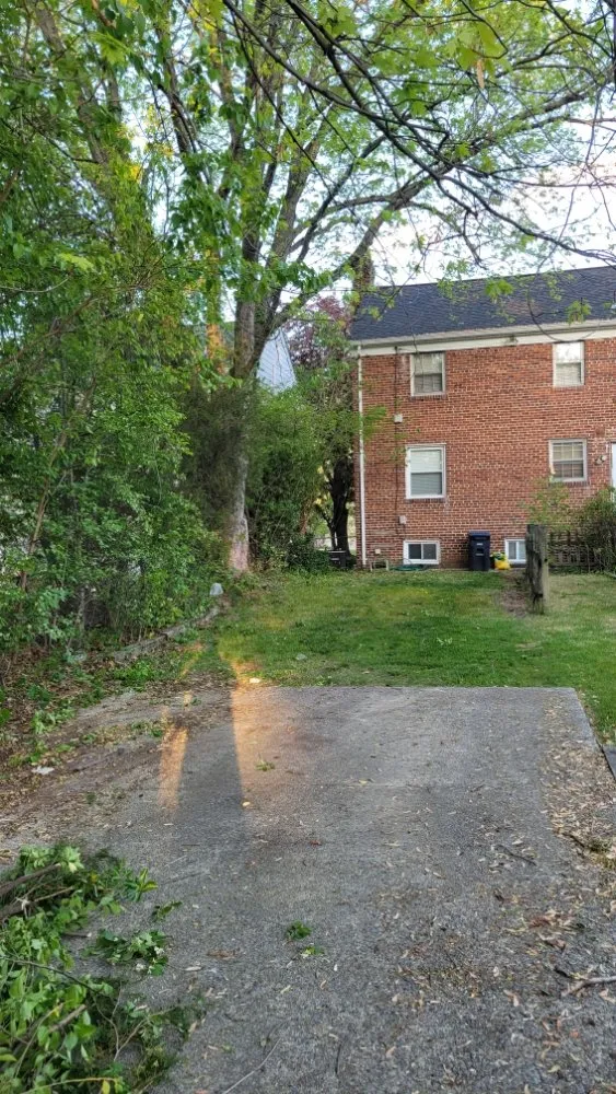 Expert yard cleanup service experts serving Arlington, VA - Jabocleaning