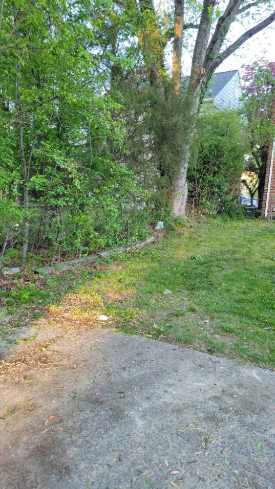 Reliable landscape design for beautiful yards in Arlington, VA by Jabocleaning