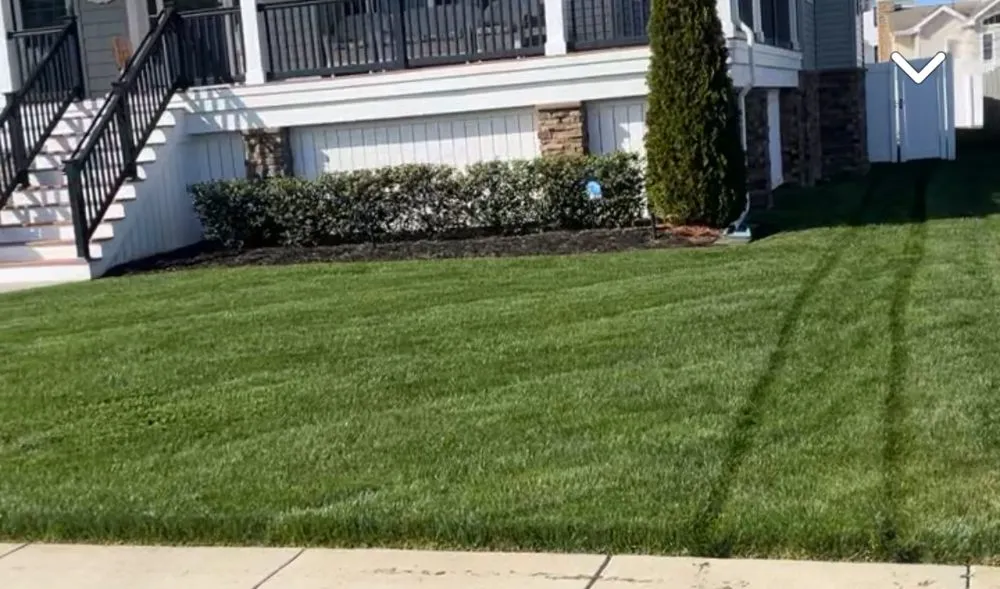 Expert landscaping services for year-round maintenance in Galloway, NJ by Jabs Landscaping