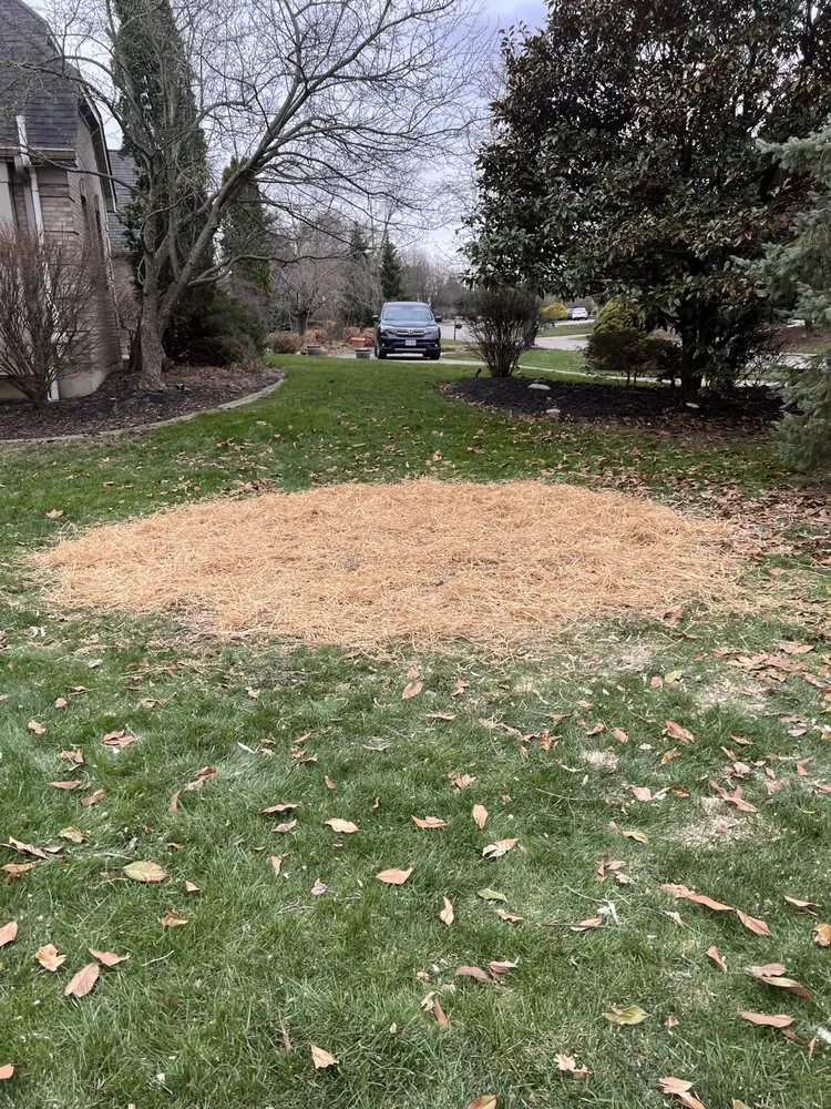 Top-rated garden landscaping with custom design in Mason, OH by JAC Landcare