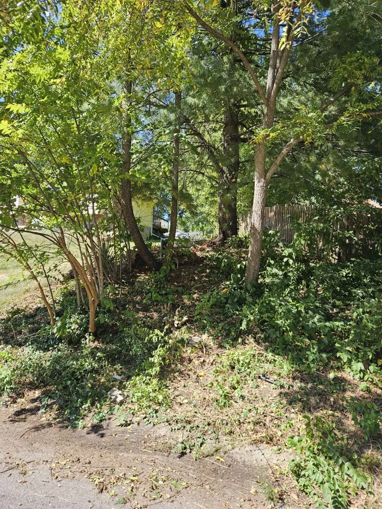 Trusted landscape installation in Kansas City, MO by JAC Landscaping