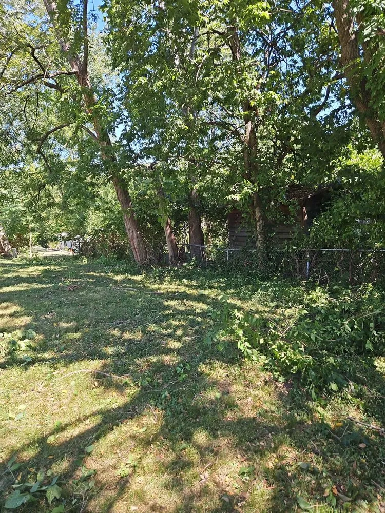 Reliable lawn care service in Kansas City, MO - JAC Landscaping