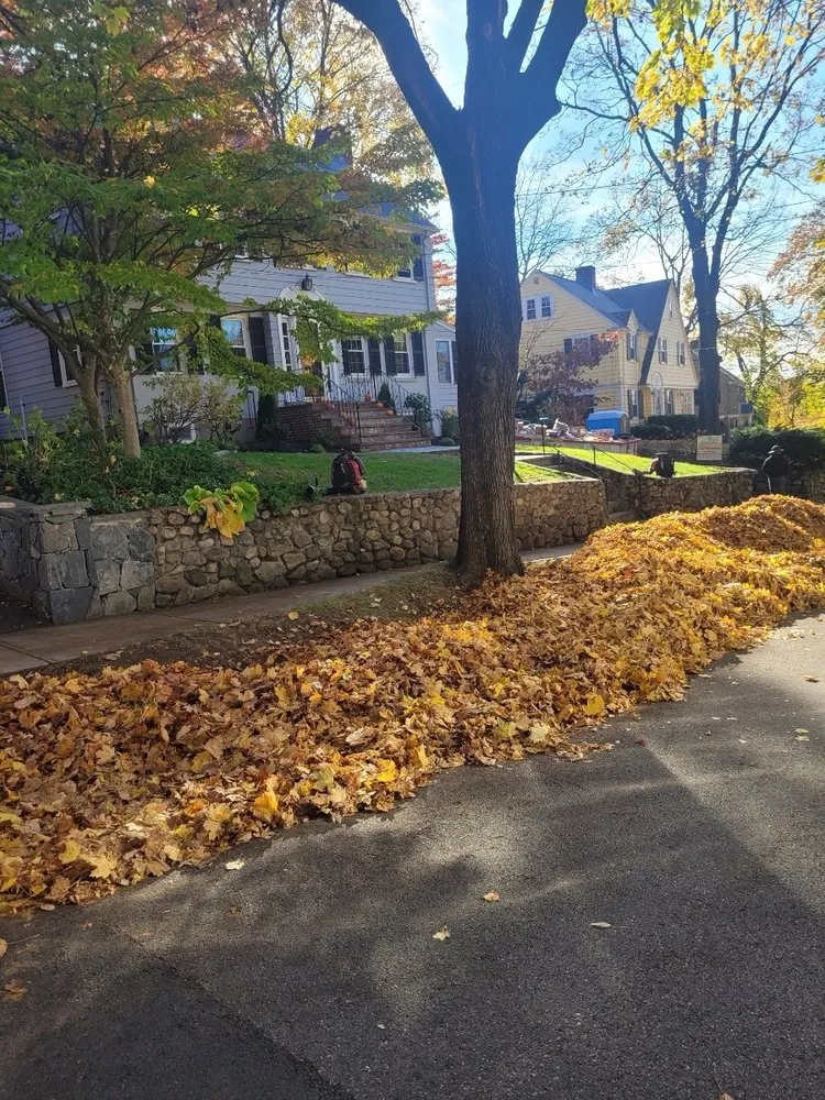Reliable lawn mowing service for beautiful yards across Lynn, MA - JAC Landscaping
