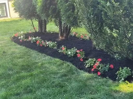 Affordable yard maintenance in Lynn, MA by JAC Landscaping