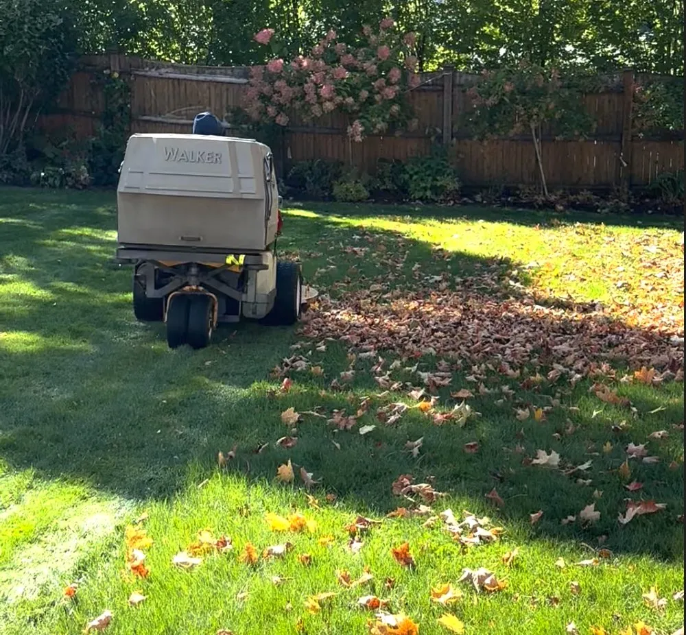 Expert lawn care service in Lynn, MA by JAC Landscaping