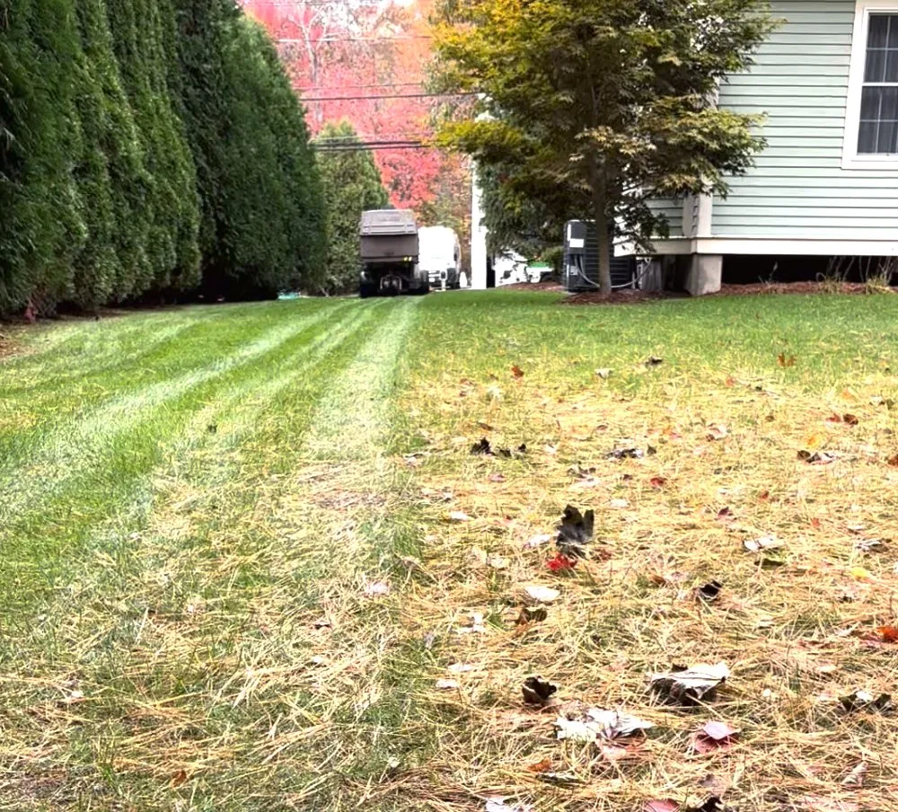 Local outdoor landscaping in Lynn, MA by JAC Landscaping