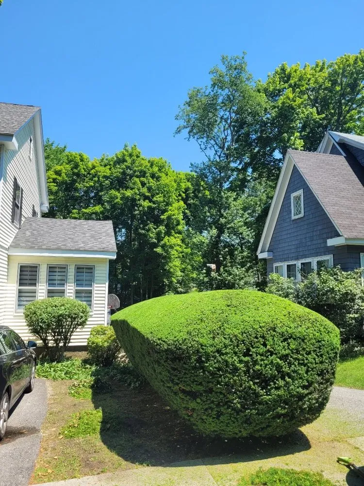 Trusted yard maintenance in Lynn, MA by JAC Landscaping