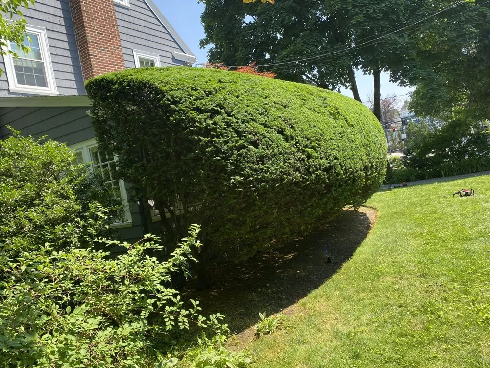 Affordable landscaping services experts serving Lynn, MA - JAC Landscaping