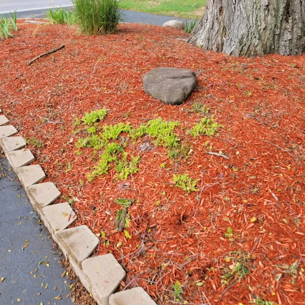 Affordable yard maintenance near you in Custar, OH by JAC Lawn Care