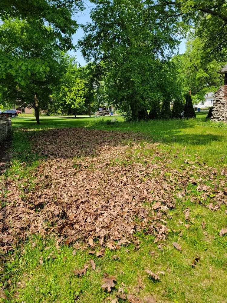 Local garden landscaping for beautiful yards across Custar, OH - JAC Lawn Care