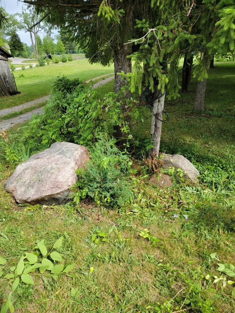 Local yard cleanup service in Custar, OH - JAC Lawn Care