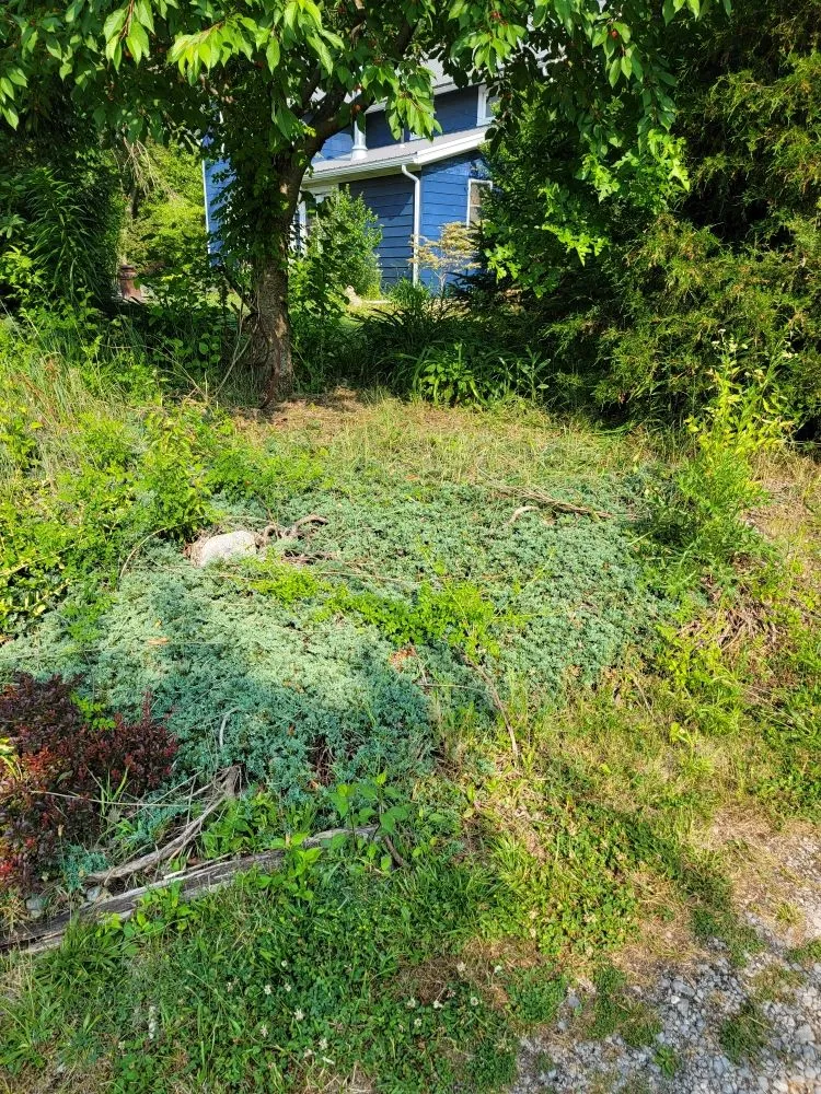 Expert outdoor landscaping for outdoor upgrades across Custar, OH - JAC Lawn Care