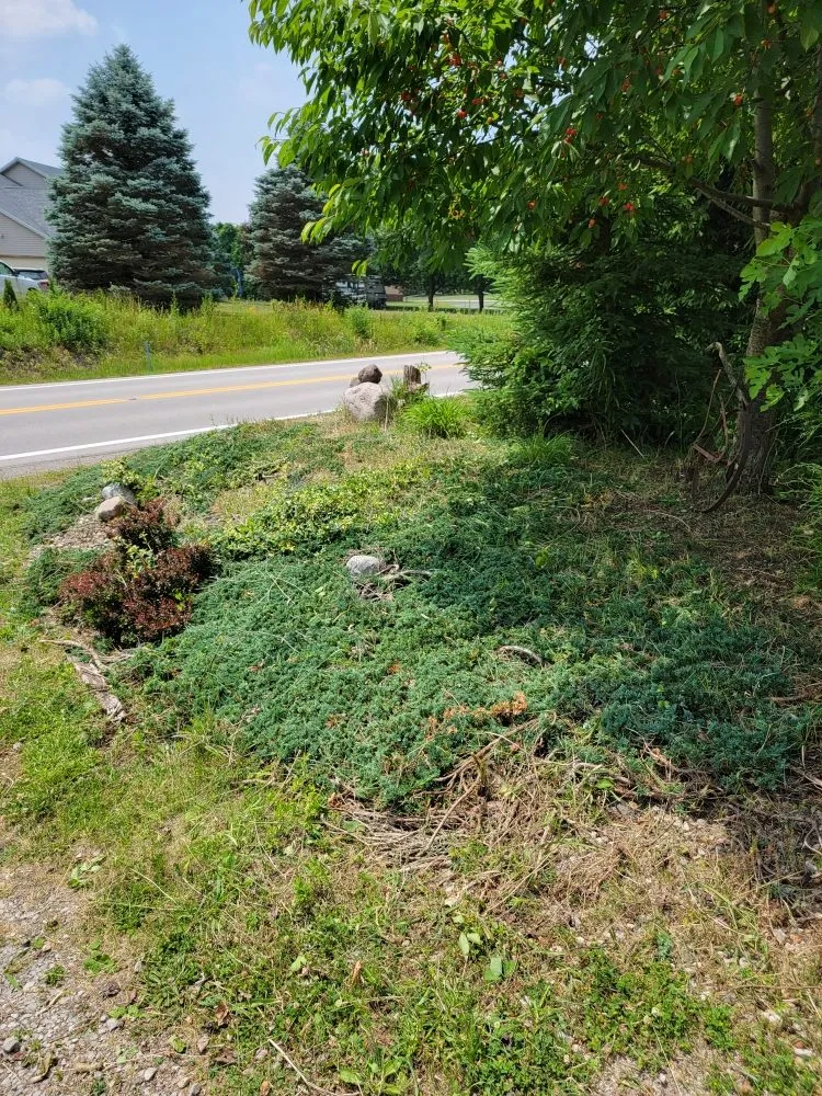Expert landscape installation in Custar, OH - JAC Lawn Care