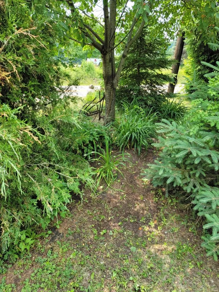 Affordable landscape design in Custar, OH by JAC Lawn Care