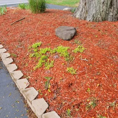 JAC Lawn Care