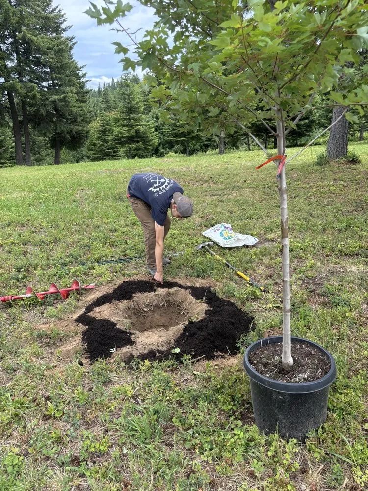 Professional residential landscaping in Elk, WA - Jac of All Trades