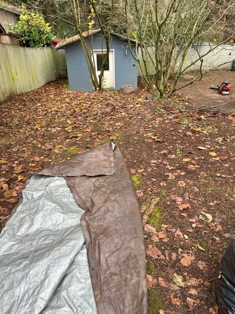 Affordable yard maintenance in Seattle, WA - JAC Services