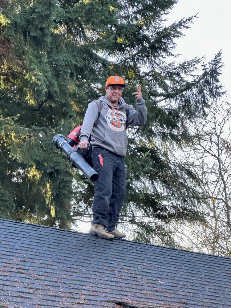 Reliable yard maintenance in Seattle, WA by JAC Services