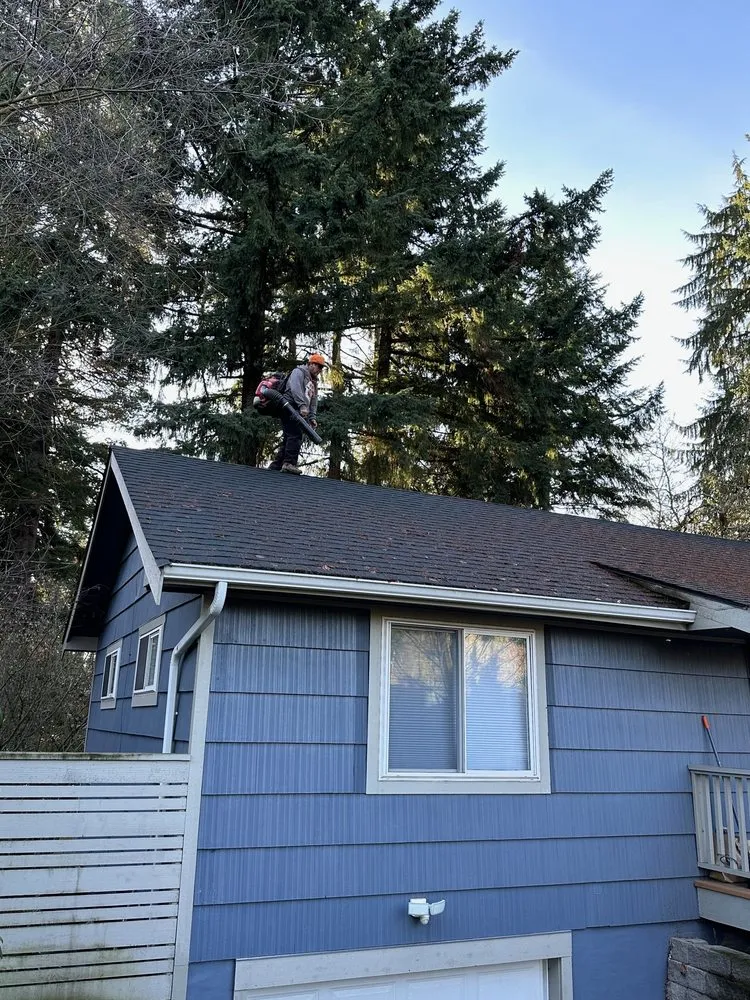 Expert lawn mowing service for homes in Seattle, WA by JAC Services