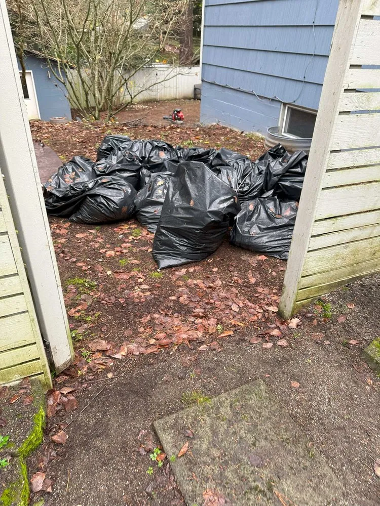 Local lawn mowing service in Seattle, WA by JAC Services