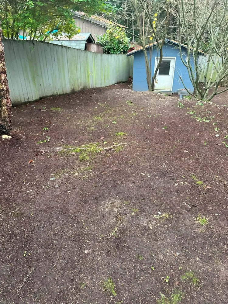 Custom lawn mowing service near you across Seattle, WA - JAC Services