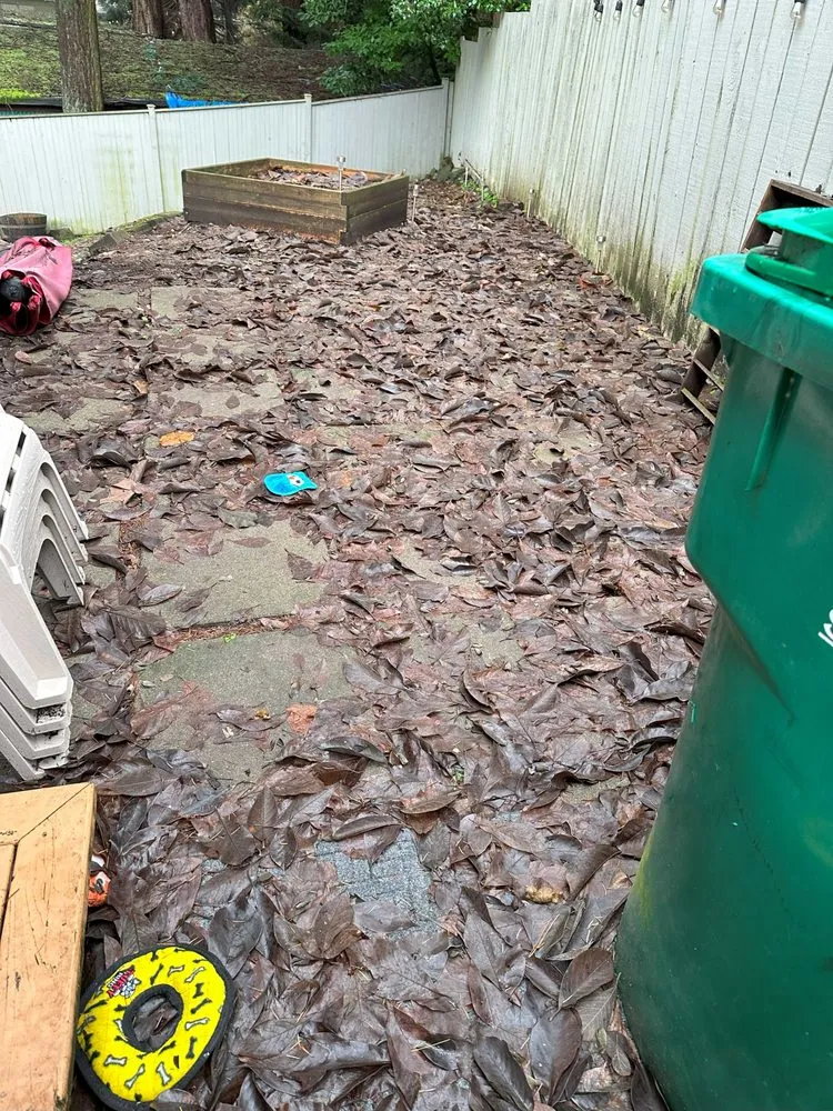 Professional yard maintenance for year-round maintenance in Seattle, WA by JAC Services