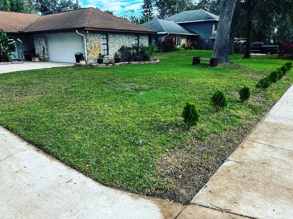 Expert yard cleanup service in New Kensington, PA - Jac3G