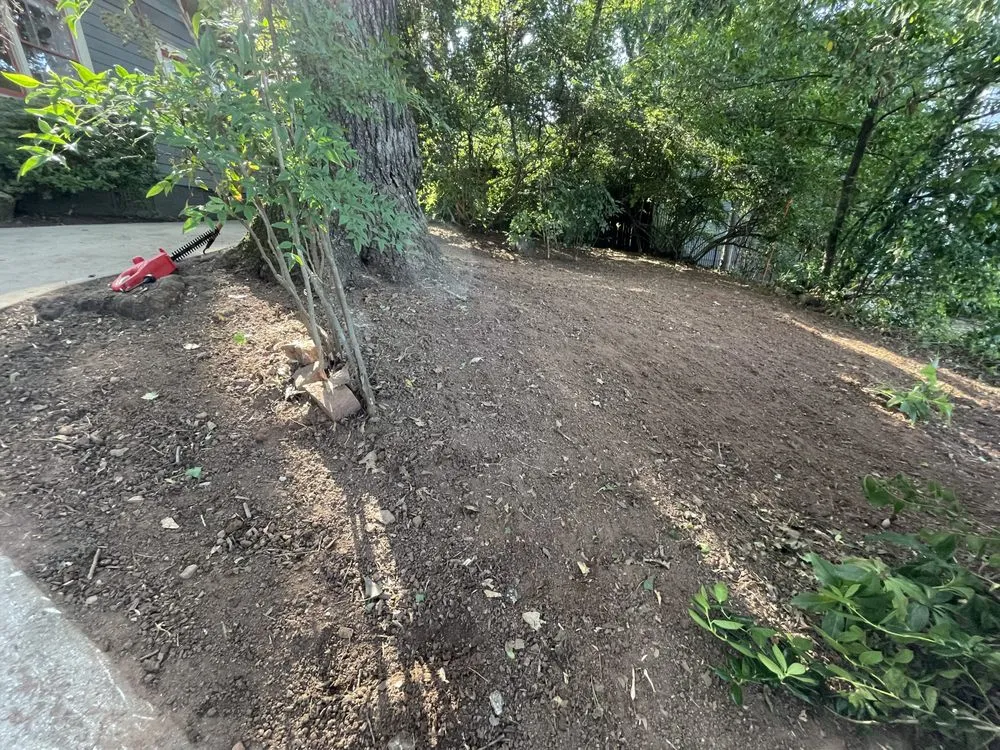 Professional landscape installation in Atlanta, GA by Jacen & Johnnie’s Lawncare and Landscaping