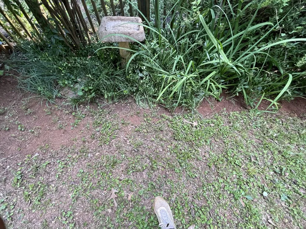 Reliable lawn care service for homes in Atlanta, GA by Jacen & Johnnie’s Lawncare and Landscaping