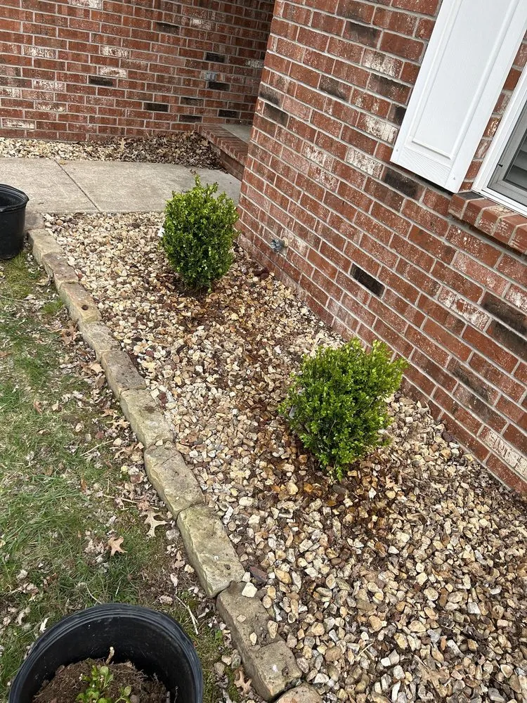 Custom yard maintenance in Battlefield, MO - Jace’s Lawn Care