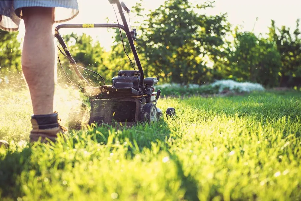 Reliable yard maintenance experts serving Beaumont, TX - Jacinto Lawn Services
