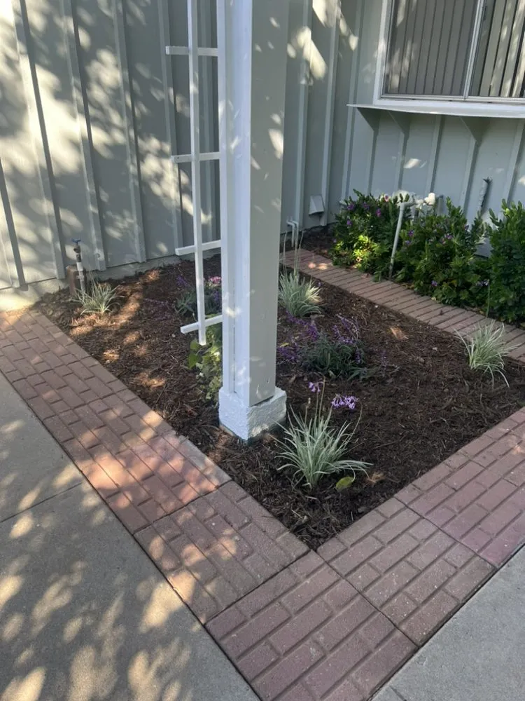 Reliable lawn care service for beautiful yards across Santa Barbara, CA - Jacinto's Landscape and Maintenance