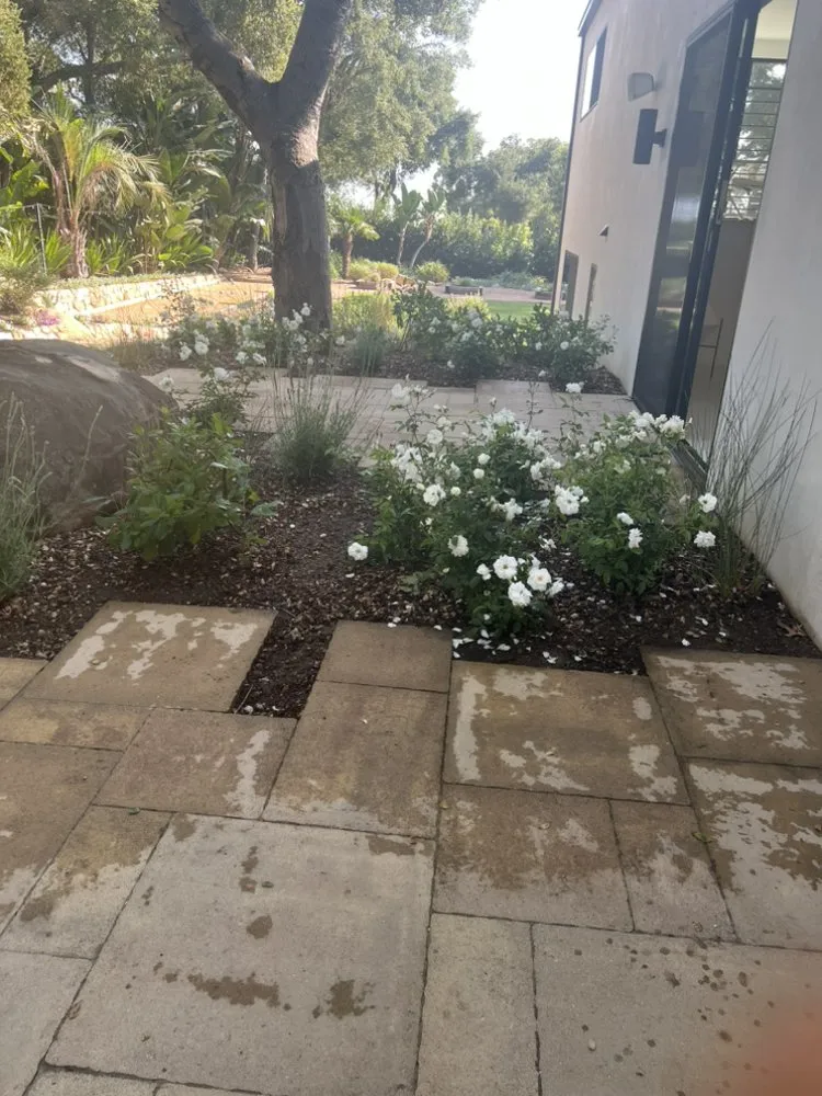 Custom landscaping services experts serving Santa Barbara, CA - Jacinto's Landscape and Maintenance