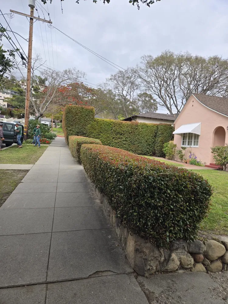 Reliable landscaping services with custom design across Santa Barbara, CA - Jacinto's Landscape and Maintenance