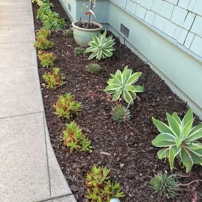 Reliable landscaping services for outdoor upgrades across Santa Barbara, CA - Jacinto's Landscape and Maintenance