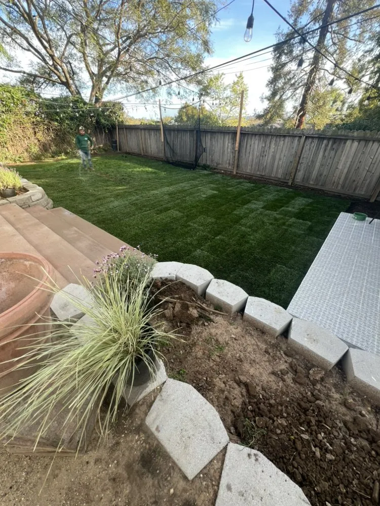 Top-rated landscape installation near you across Santa Barbara, CA - Jacinto's Landscape and Maintenance