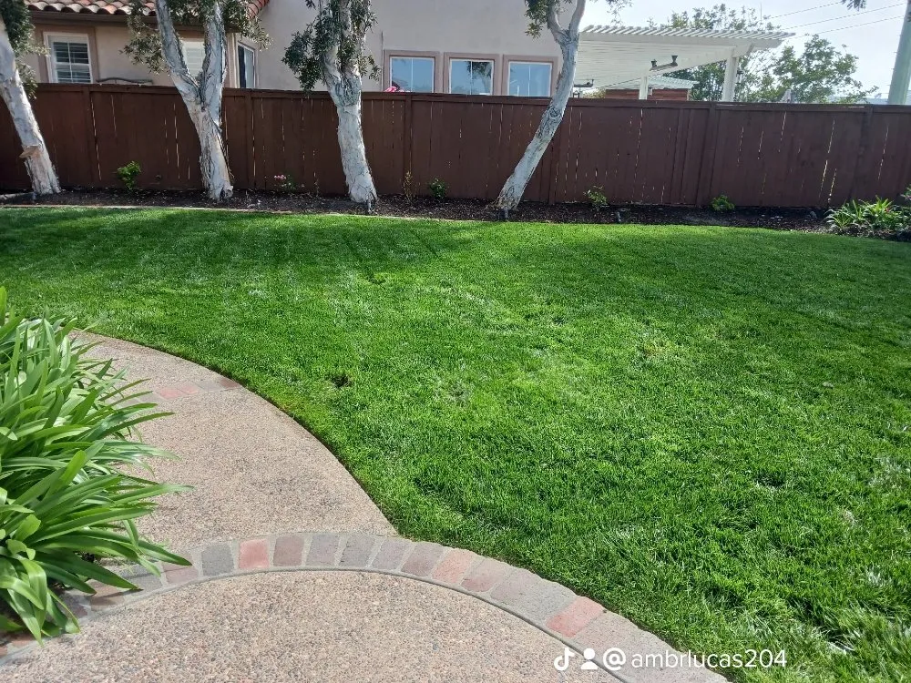 Professional outdoor landscaping in Encinitas, CA by Jacinto's Landscaping & Construction