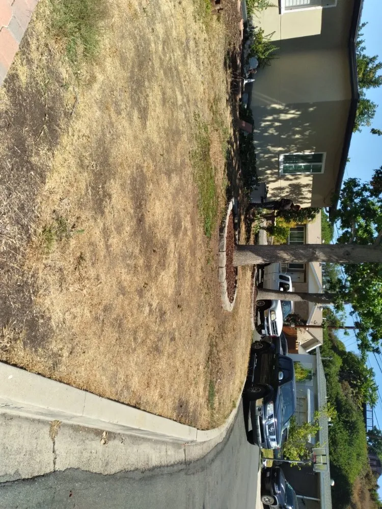 Trusted landscape design for beautiful yards across Encinitas, CA - Jacinto's Landscaping & Construction