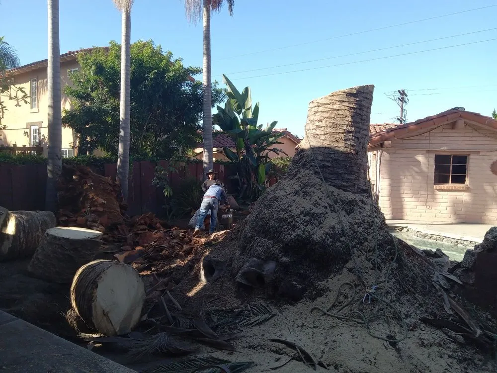 Professional lawn care service for outdoor upgrades across Encinitas, CA - Jacinto's Landscaping & Construction