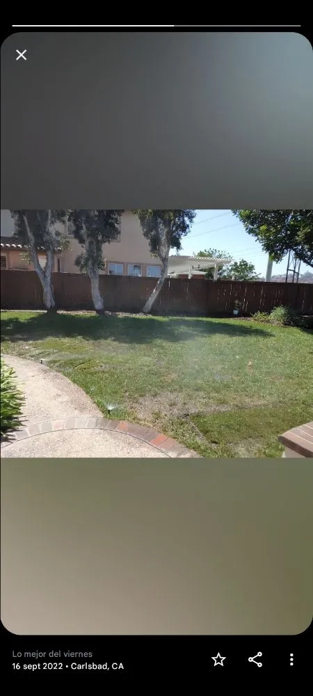 Trusted yard maintenance in Encinitas, CA by Jacinto's Landscaping & Construction