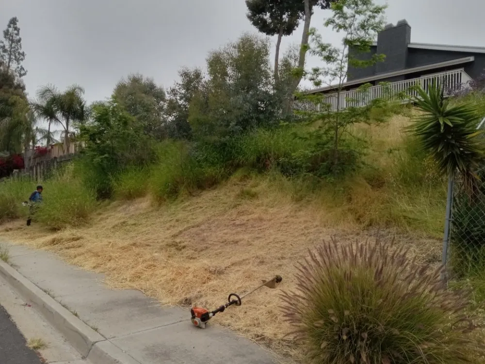 Affordable outdoor landscaping in Encinitas, CA - Jacinto's Landscaping & Construction