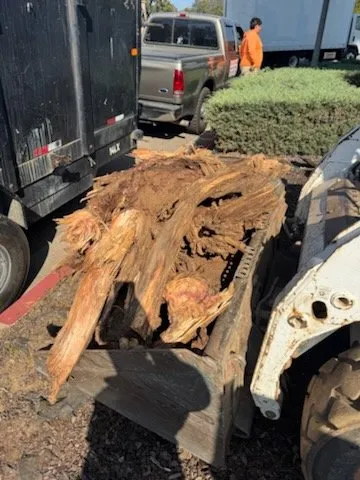 Affordable residential landscaping experts serving Encinitas, CA - Jacinto's Landscaping & Construction