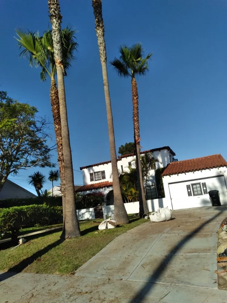 Custom landscaping services for homes across Encinitas, CA - Jacinto's Landscaping & Construction