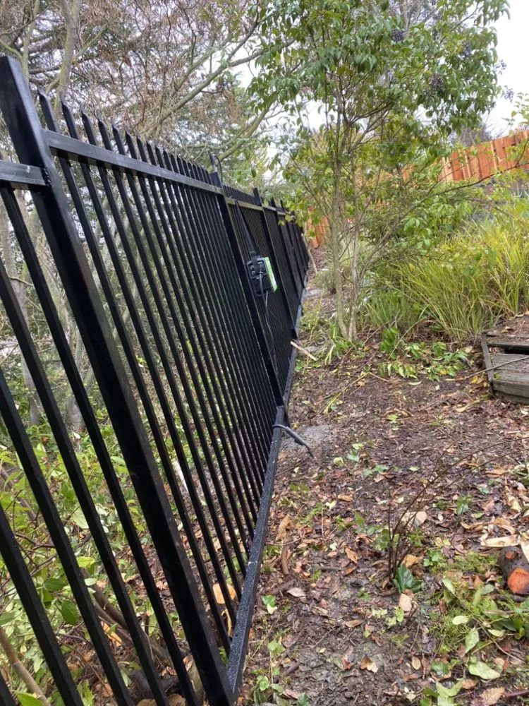 Trusted residential landscaping in Alameda, CA by Jacinto's Landscaping